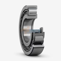 Vòng bi SKF NUP 320 ECJ