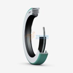 Phớt SKF 220X250X16 CRWH1 R